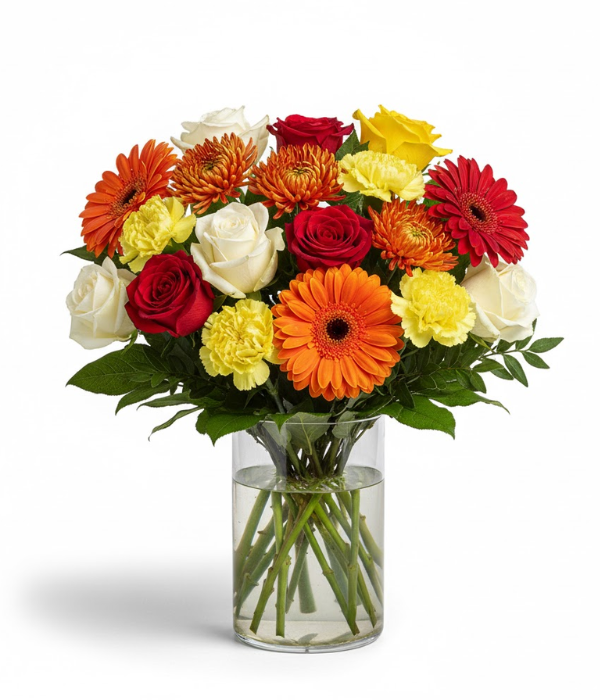 Colección de diseñador de cumpleaños IV