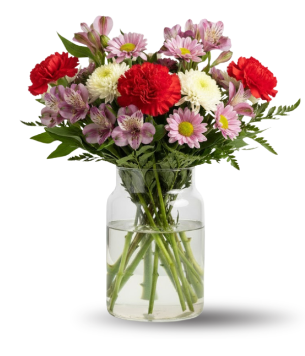 Colección de diseñadores I