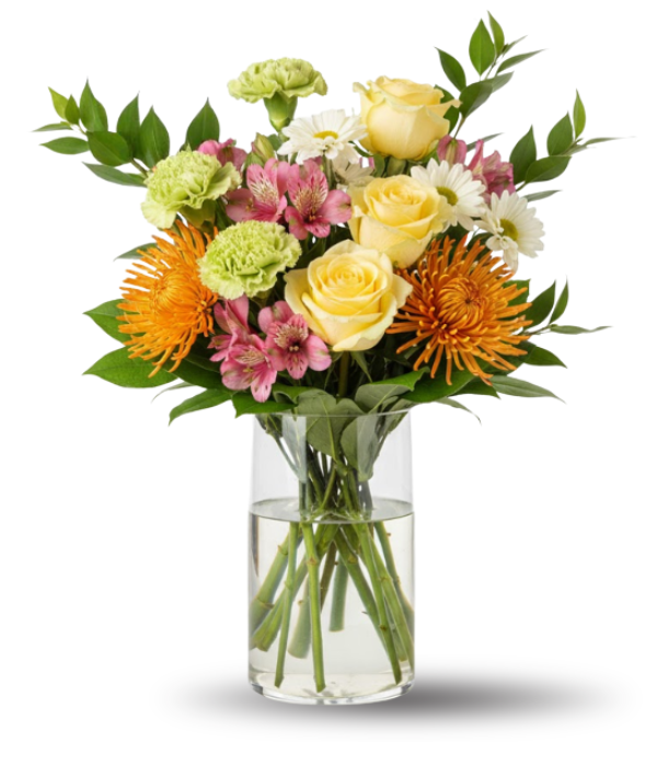 Colección de diseñadores II