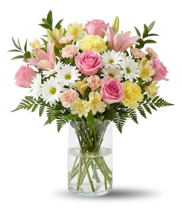 Colección de diseñadores III