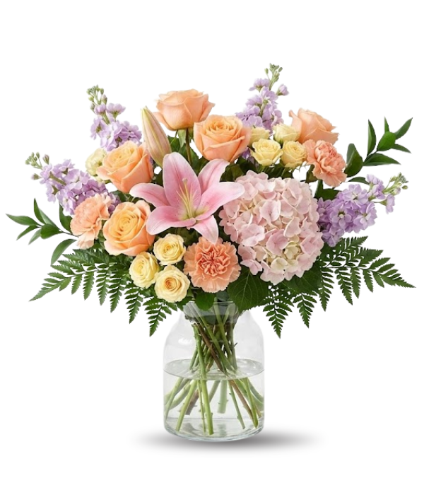 Colección de diseñador de aniversario II