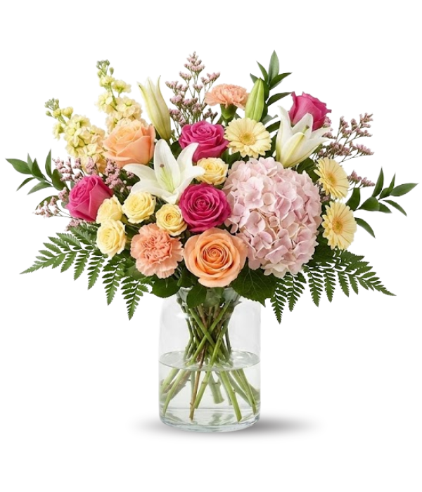 Colección de diseñador de aniversario III