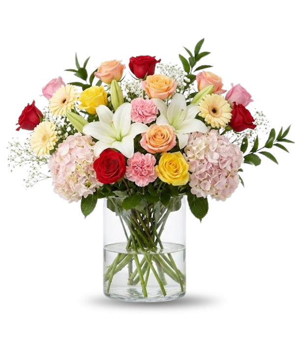 Colección de diseñador de aniversario IV