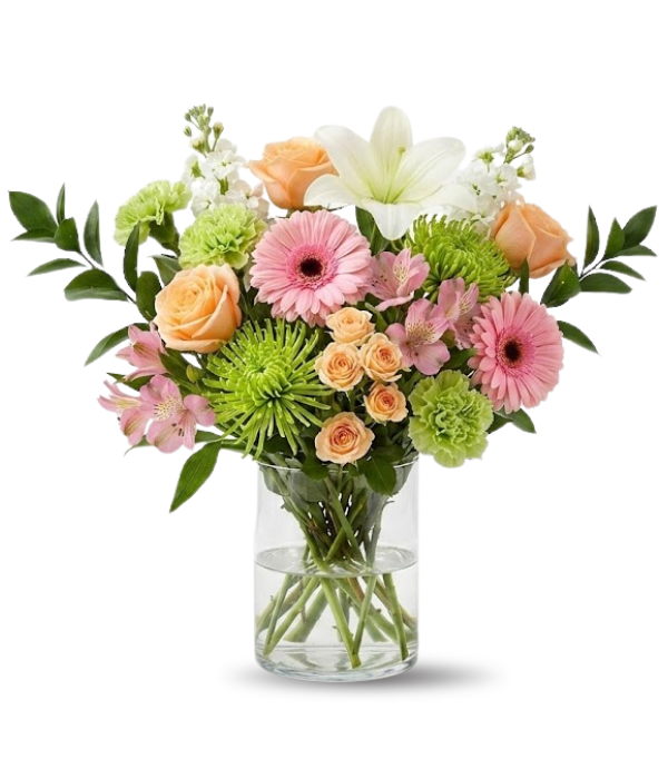 Colección de diseñador de cumpleaños III