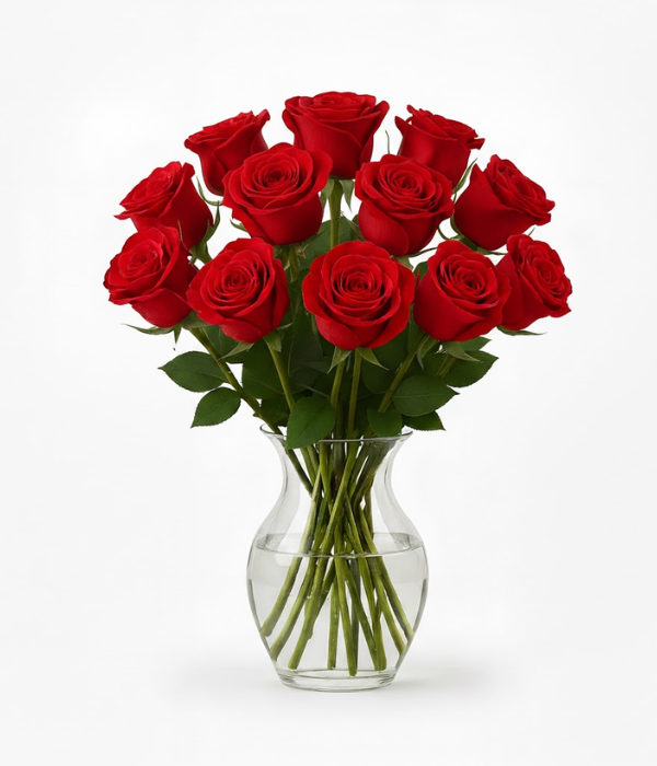 Una docena de rosas rojas de tallo largo
