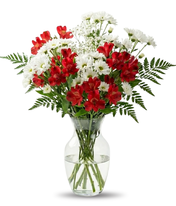 Bailando entre margaritas