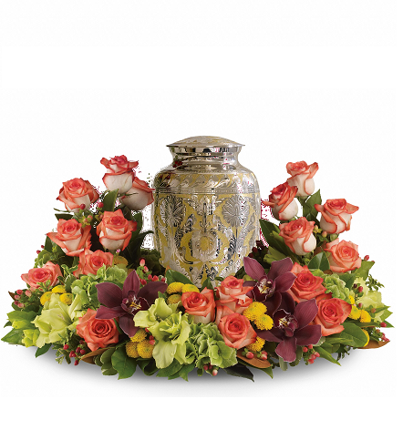 Corona del atardecer