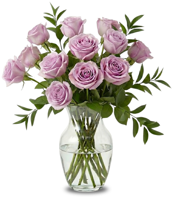 Una docena de rosas lavanda de tallo largo