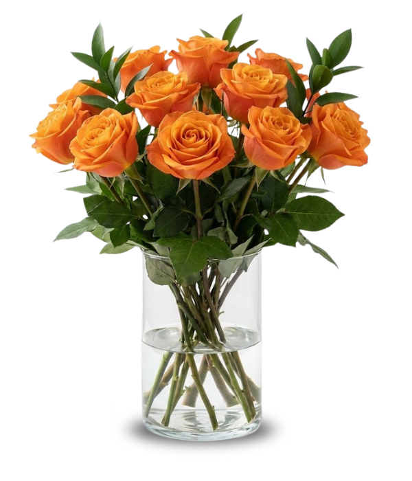 Une douzaine de roses orange à longues tiges