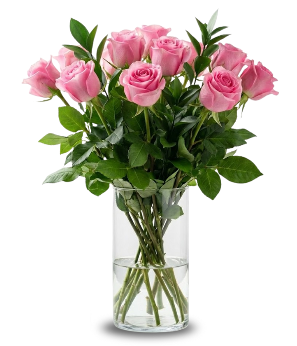 Una docena de rosas rosadas de tallo largo