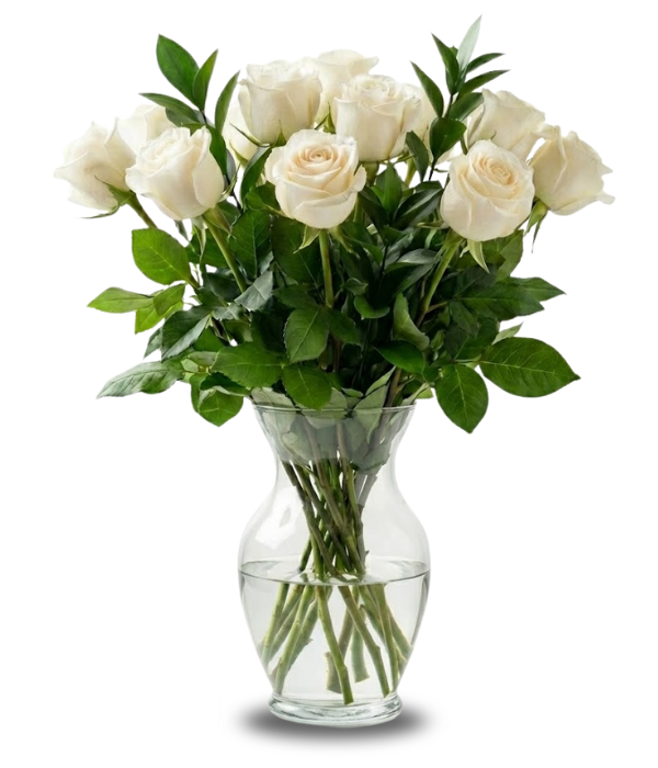 Une douzaine de roses blanches à longues tiges