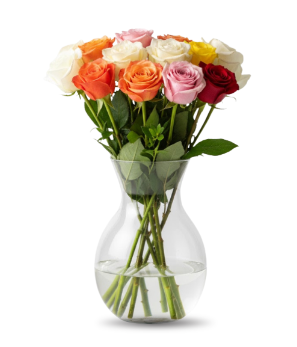 Una docena de rosas surtidas de tallo largo