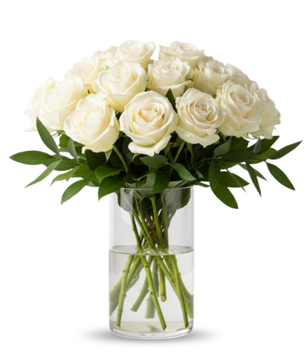 24 rosas blancas de tallo largo