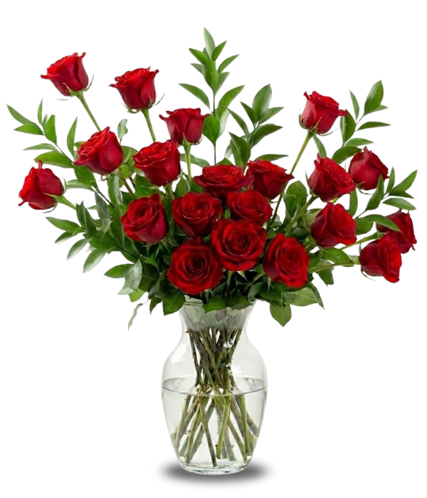 Dix-huit roses rouges à longues tiges