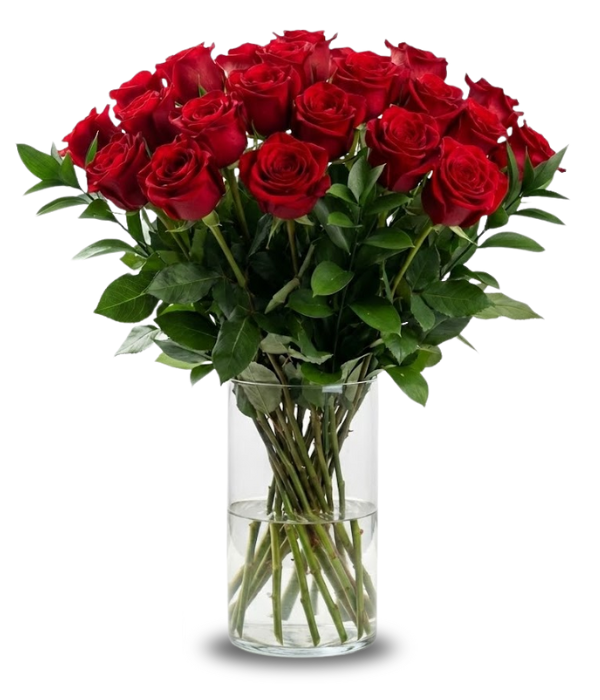 Deux douzaines de roses rouges à longues tiges