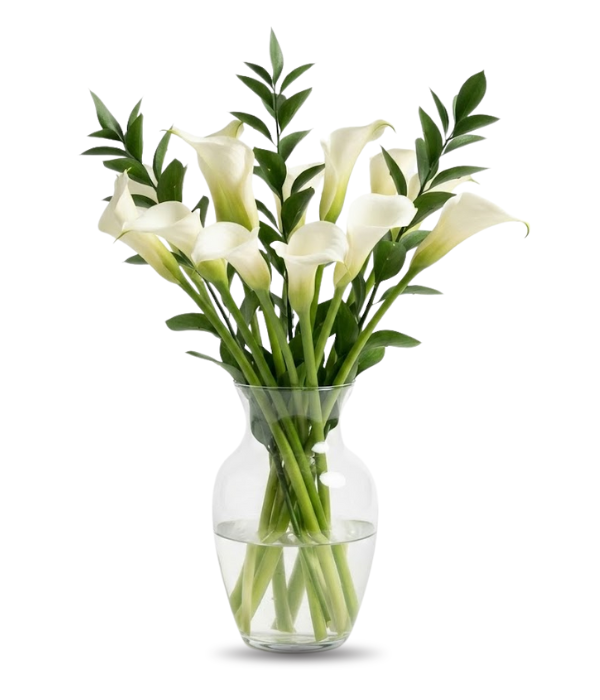 10 magnifiques callas