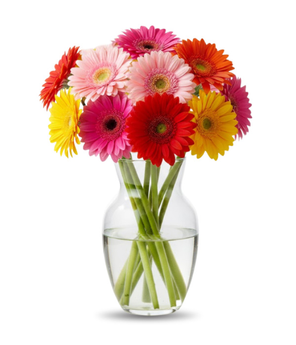 Ramo de gerberas arcoíris