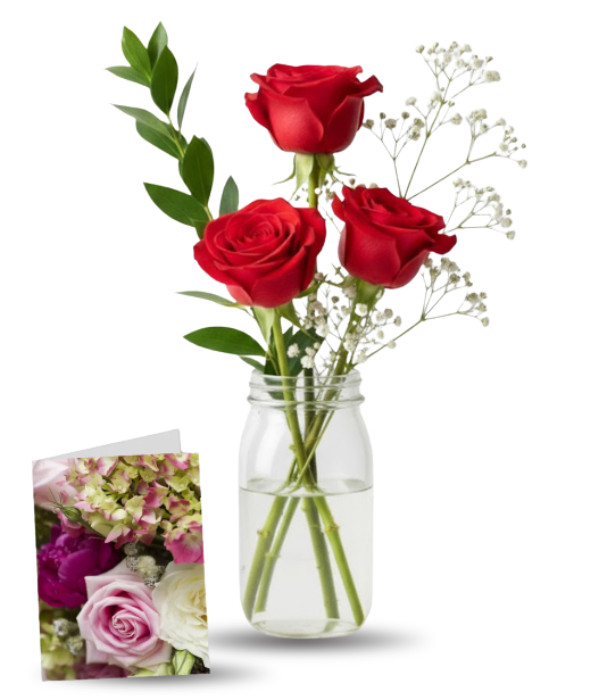 Rose et carte spéciale