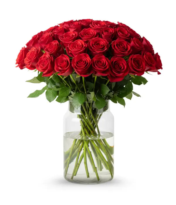 100 Red Valentine Roses bloomexusa