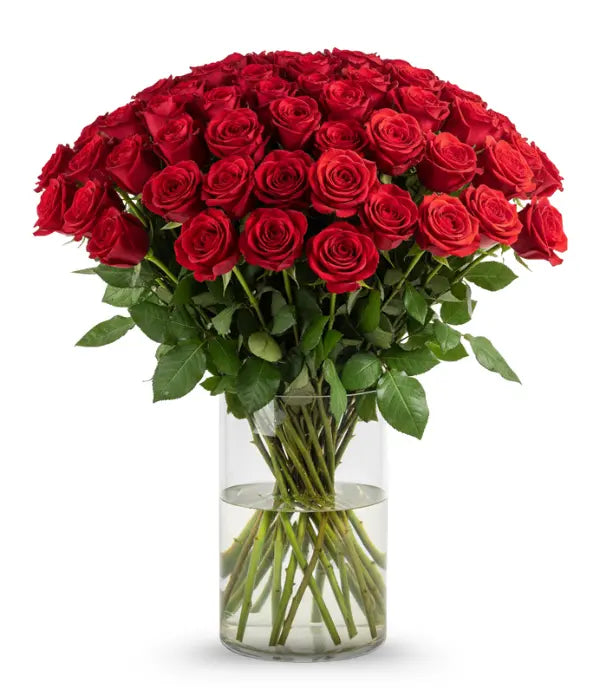 150 Red Valentine Roses bloomexusa