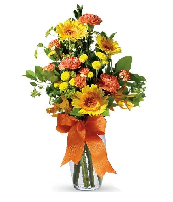 Autumn Fireworks bloomexusa