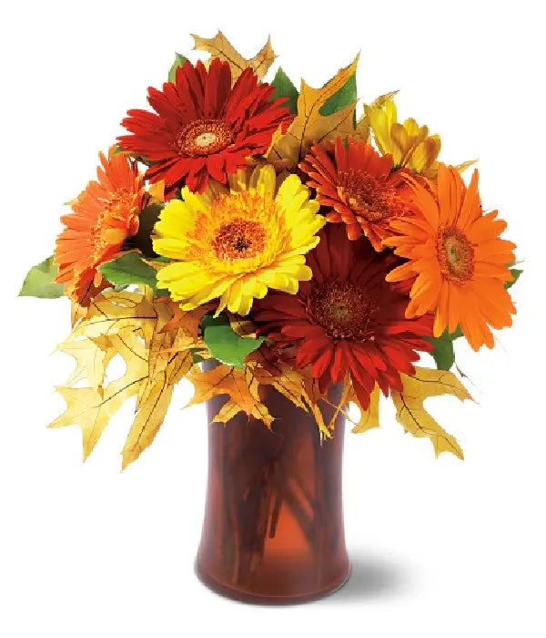 Autumn Gerberas bloomexusa