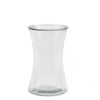 Clear_Glass_Vase
