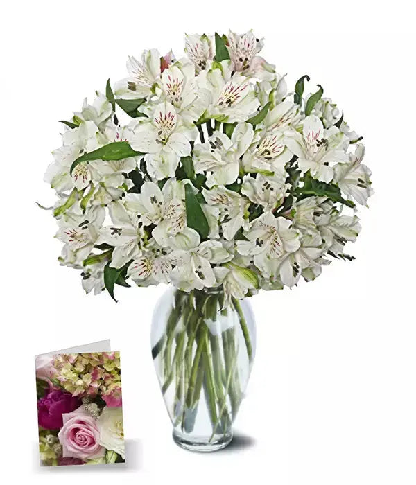 50 Blooms of Easter Alstroemeria I