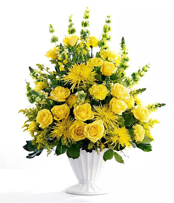 Bendición más brillante