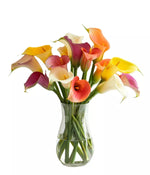 Assorted Calla Lilies bloomexusa