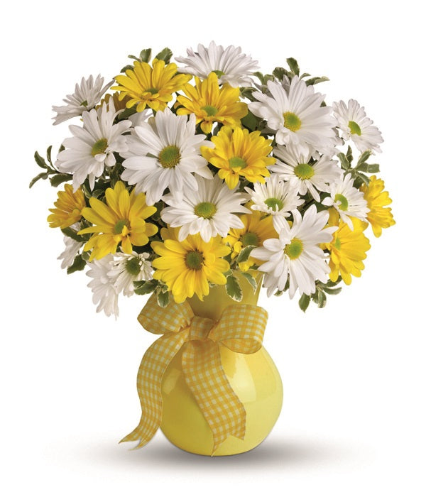 Margaritas clásicas amarillas y blancas