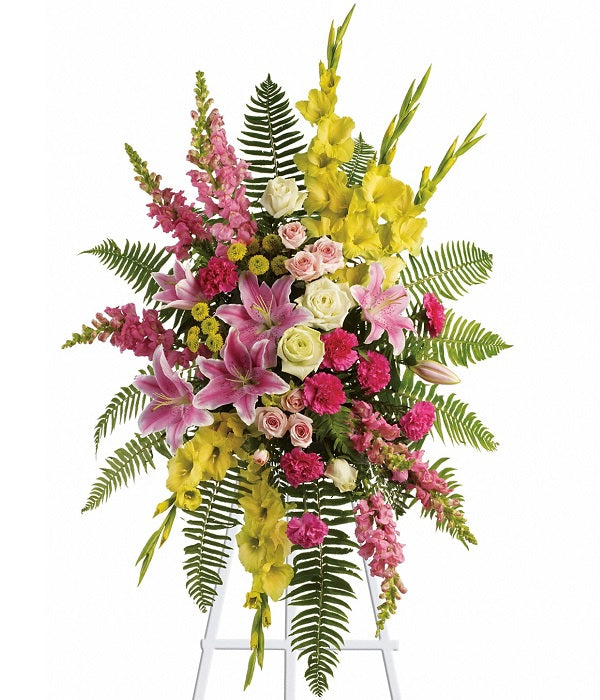 Rayos de luz en aerosol