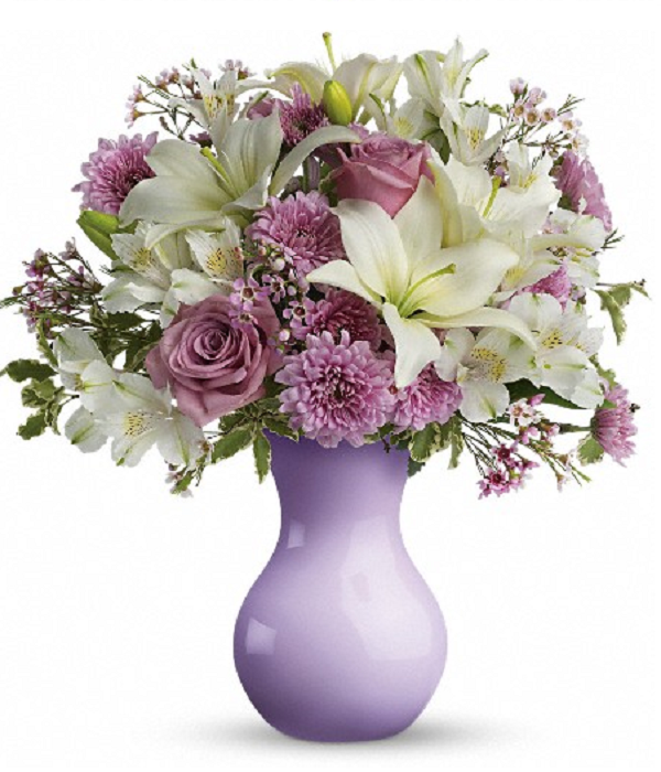 Serenata a la luz de las estrellas