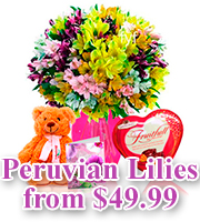 Peruvian Lily Specials