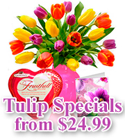 Mothers Day Tulips