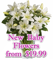 New Baby Flowers & Gifts