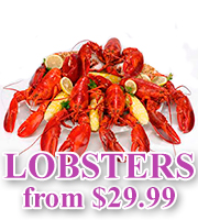 Fresh Lobster