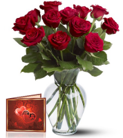 Toshiba Valentines Red Rose Special