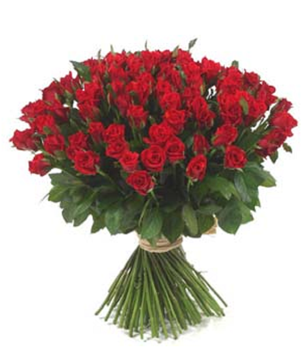 100 Red Valentine Roses