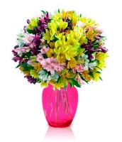 100 Blooms of Peruvian Lilies