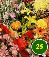 Flowers for 2$