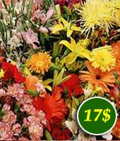 Flowers for 17$