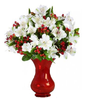 50 Blooms of Holiday Alstroemeria