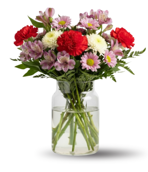 Designers Collection I