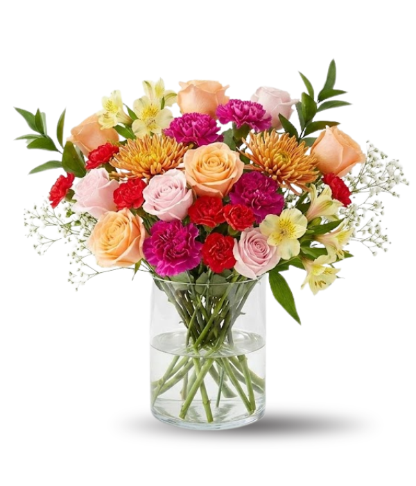 Designer Collection IV