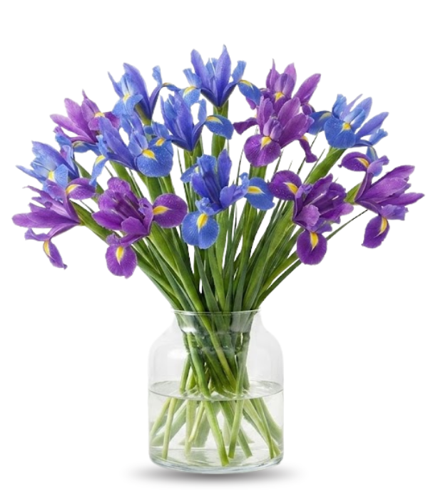 Blue Iris Bouquet