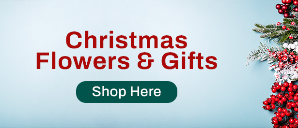 /Christmas-Gifts.html