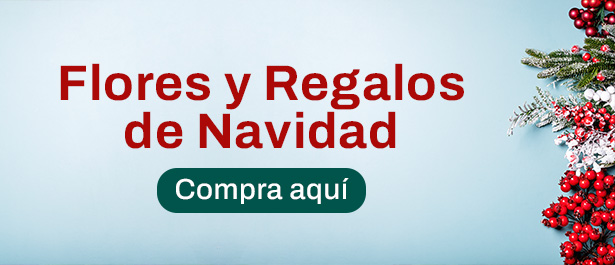 /sp/Christmas-Flowers-and-Gifts.html