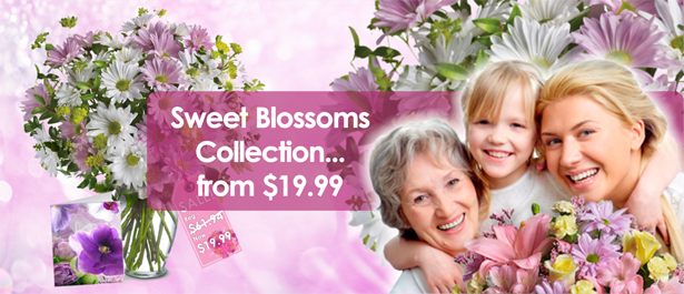 Flowers And Gift Baskets Florist Usa Flower Delivery Flower Shop Send Flowers Online